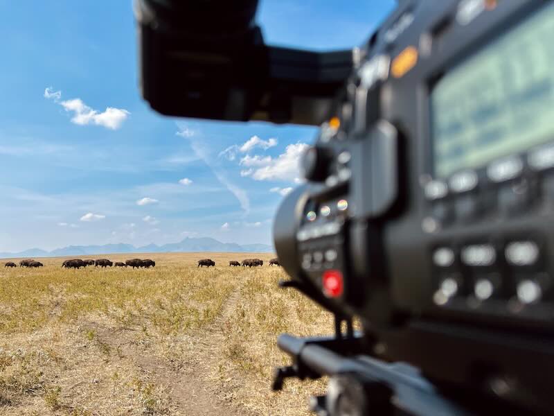 Big Sky Production Services – Camera – Bison